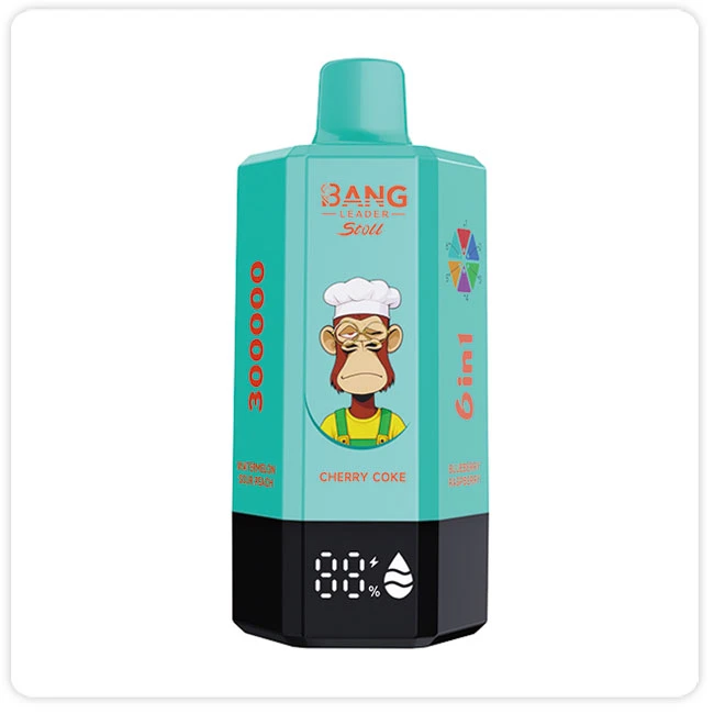 Bang Leader Stoll 300000 Puffs 6 In 1