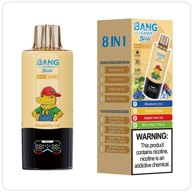 Bang Leader Stoll 350000 Puffs 8 in 1
