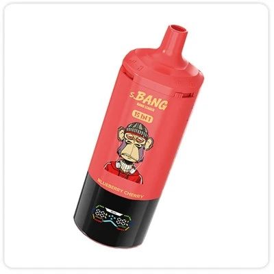 Bang Leader 450000 Puffs 15 in 1