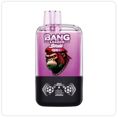 Bang Leader Stoll 120000 Puffs 2 In 1